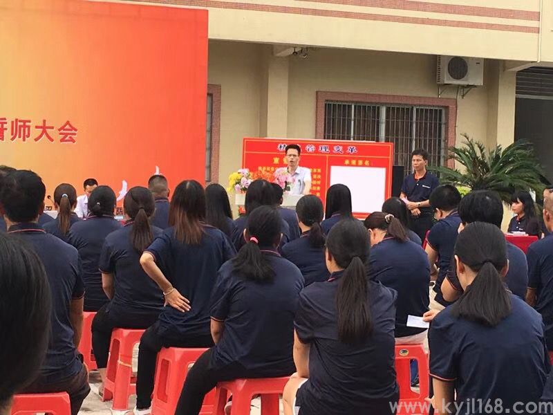 恩平市雷蒙电子有限公司