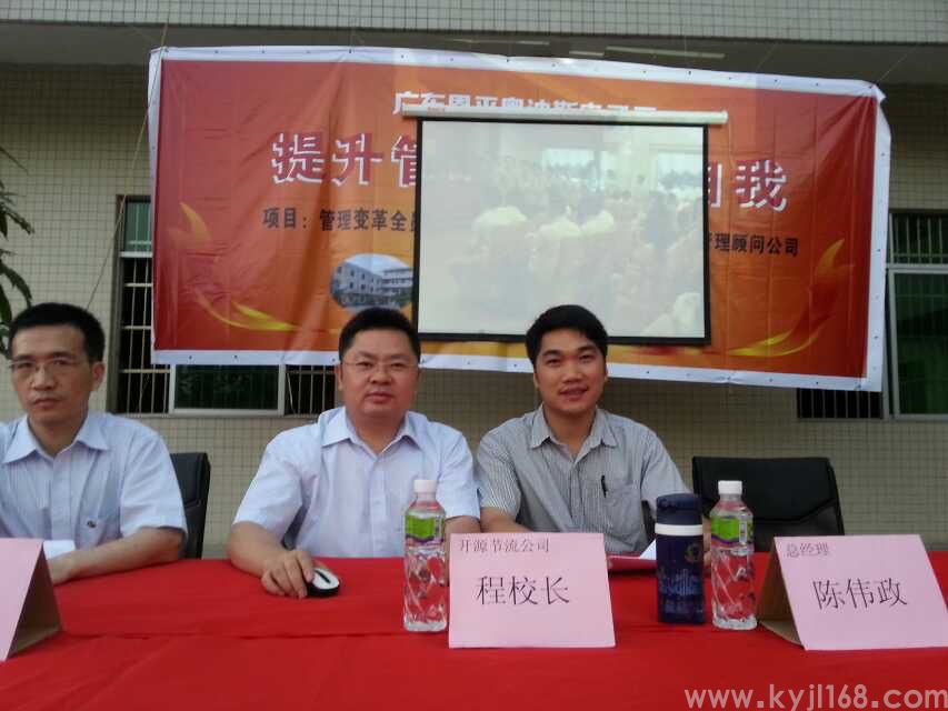 恩平奥迪斯电子有限公司